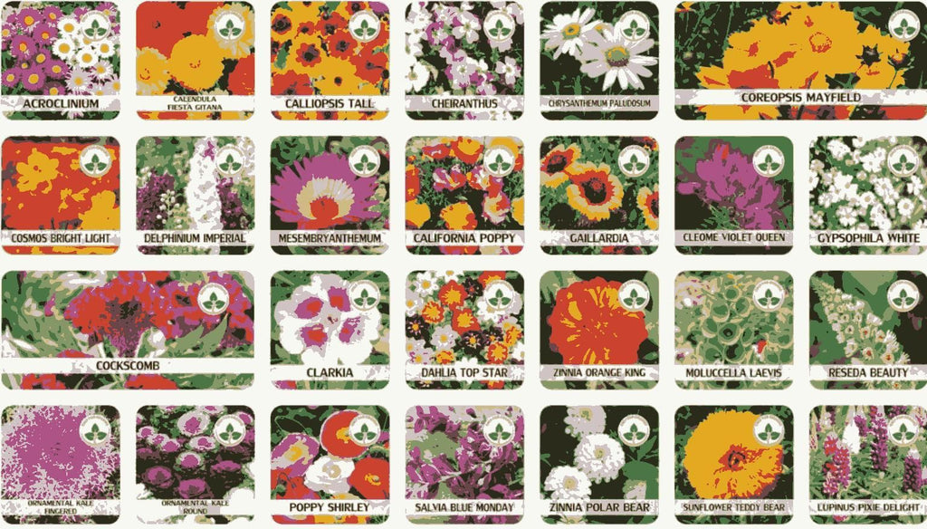 Varieties of Flower Seeds (Pack of 100/200)