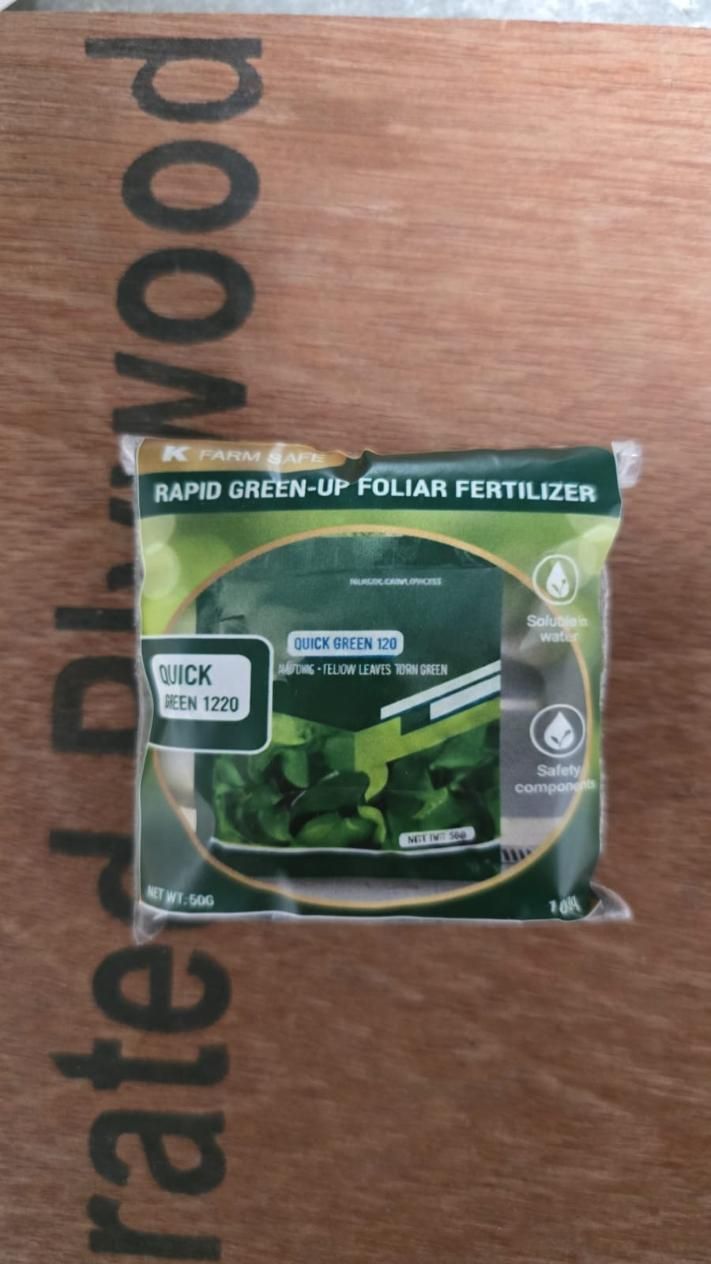 Rapid Green-Up Foliar Fertilizer 50gm (Pack of 1)