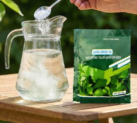 Rapid Green-Up Foliar Fertilizer 50gm (Pack of 1)