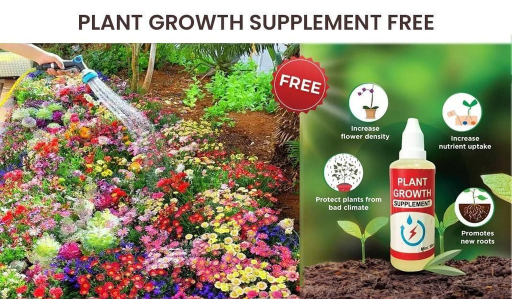 Varieties of Flower Seeds (Pack of 100/200)