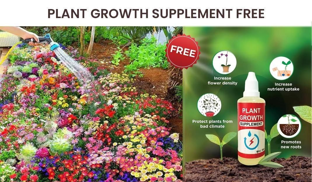Varieties of Flower Seeds (Pack of 100/200)